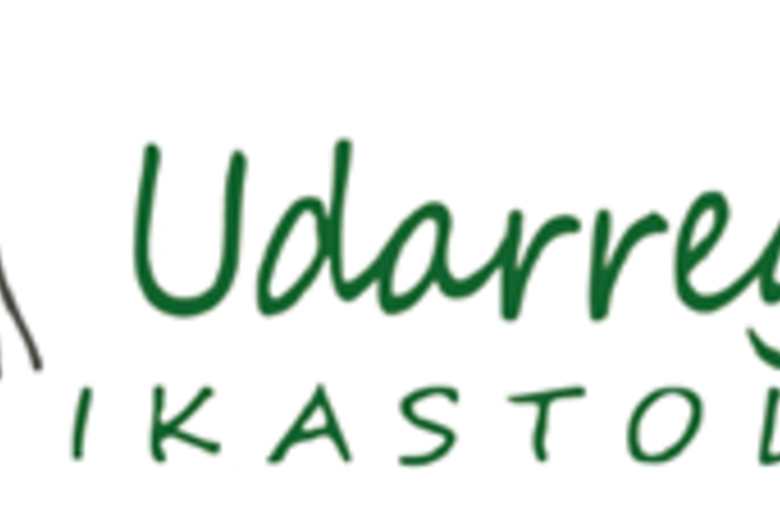 Udarregi Ikastola, IKE