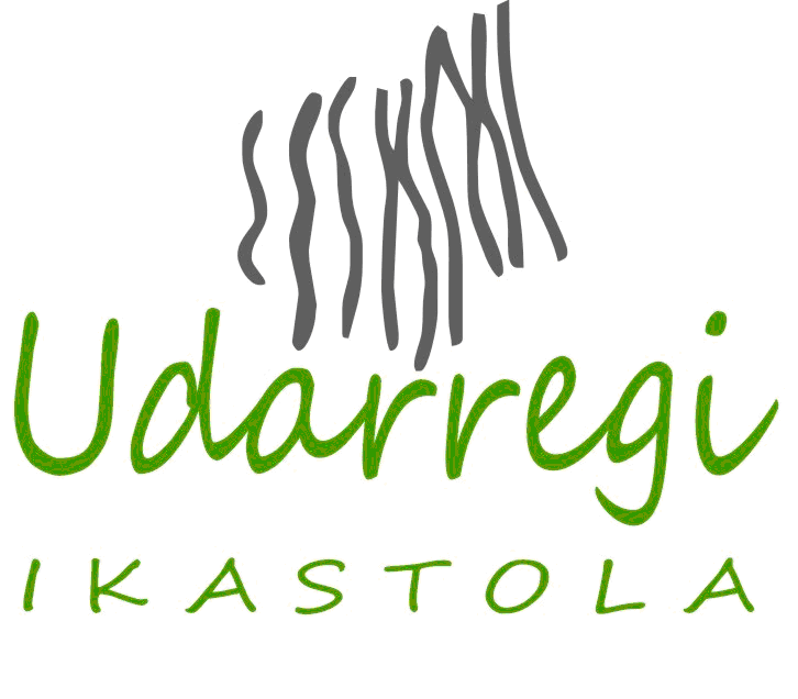Udarregi Ikastola, IKE